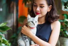 kanser hastaları kedi besleyebilir mi